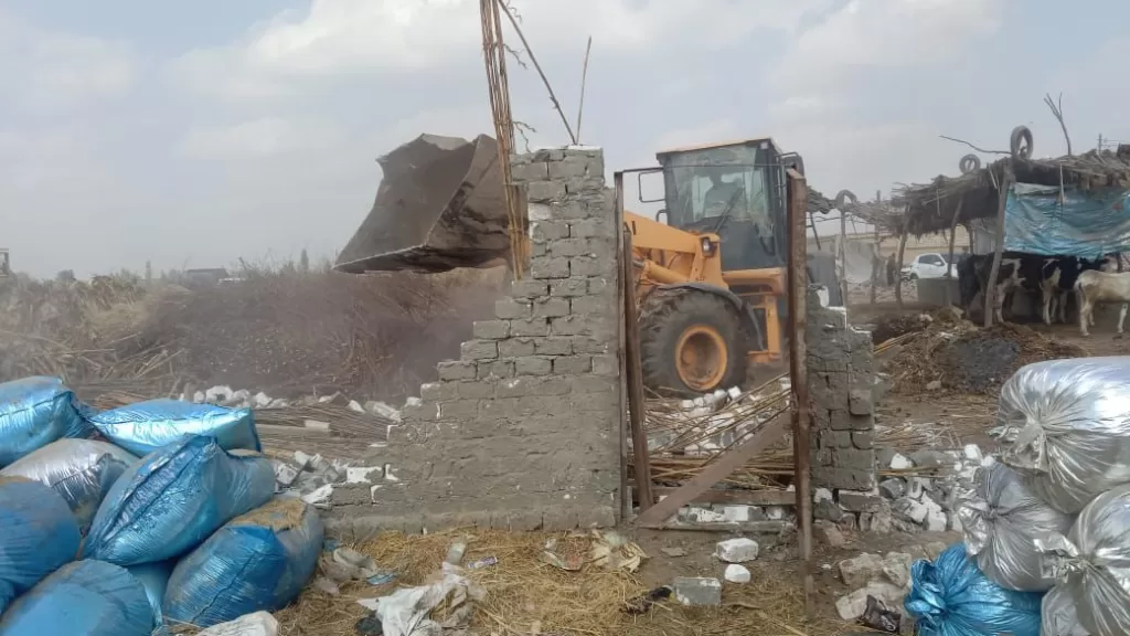 حملة إزالة واسعة النطاق تستهدف 65 حالة تعدٍ على الأراضي في الغربية 10 - جريدة الجمهورية WhatsApp Image 2024 10 20 at 7.59.38 PM - جريدة الجمهورية