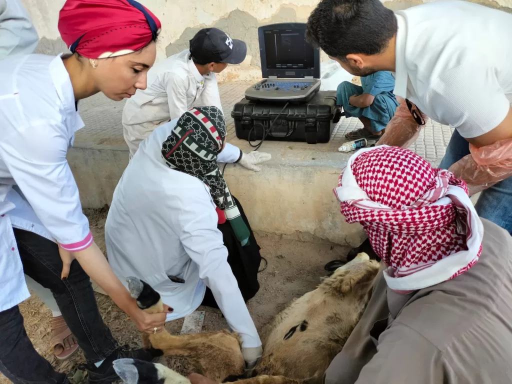 جامعة مطروح تنظم قافلة طبية وخدمية شاملة لقرية الجفيرة ضمن مبادرة «بداية» 2 | جريدة الجمهورية