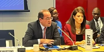 وزير المالية يضع خطة لتعزيز الاستثمار الأجنبي المباشر في إفريقيا