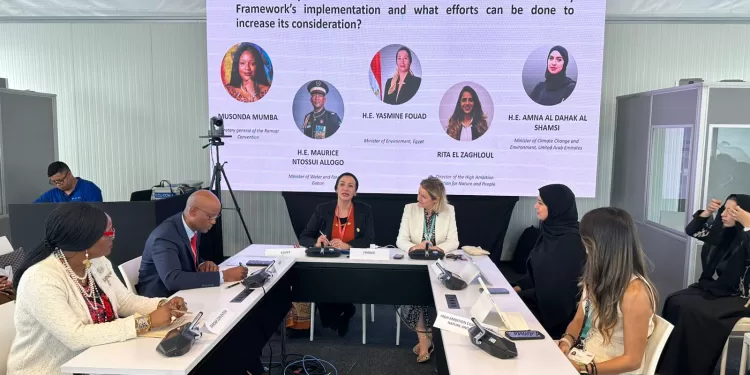 صوت مصر يدوي بقوة في COP16.. وزيرة البيئة تدعو لتحقيق السلام مع الطبيعة 1 - جريدة الجمهورية على هامش COP16.. مصر والإمارات تبحثان سبل تعزيز التعاون البيئي