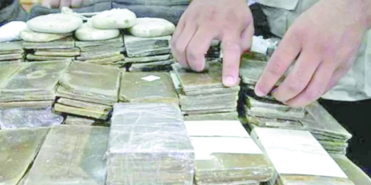 سقوط تجار الكيف بكفرالشيخ