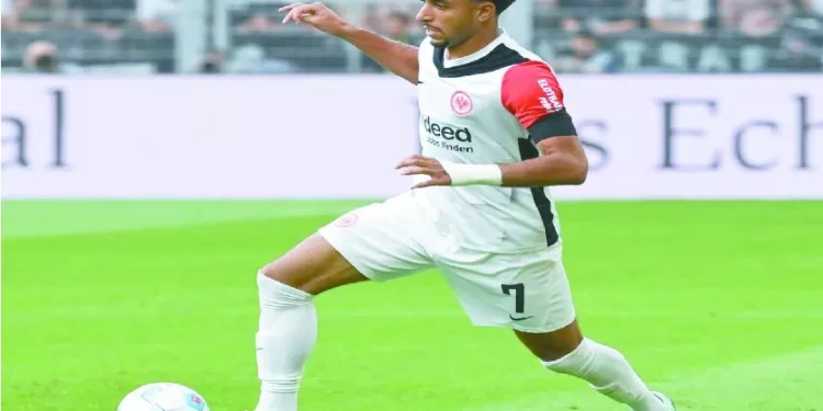 مرموش.. أحلام مشروعة