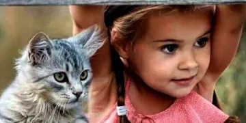 تربية القطة: لا تؤثر على إنجاب الإناث.. لكنها قد تشكل خطرًا على الحوامل