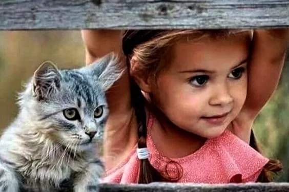 تربية القطة: لا تؤثر على إنجاب الإناث.. لكنها قد تشكل خطرًا على الحوامل 1 - جريدة الجمهورية تربية القطة: لا تؤثر على إنجاب الإناث.. لكنها قد تشكل خطرًا على الحوامل