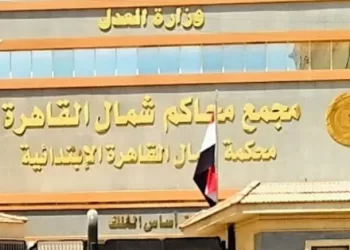 المؤبد وغرامة 100 ألف جنيه: عقوبة حداد المطرية