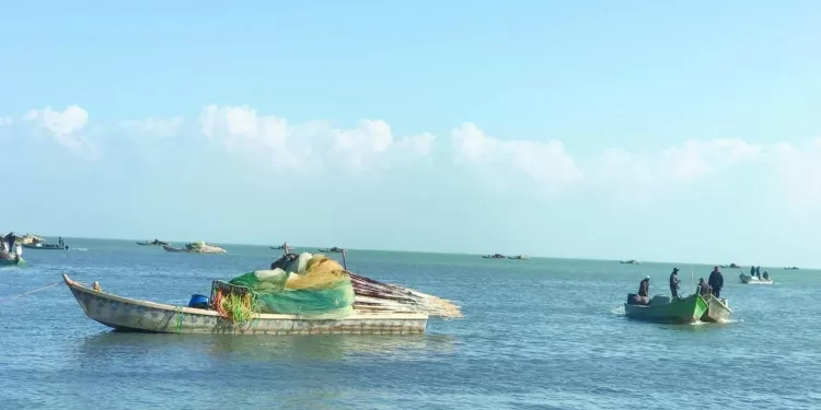 دعم السياحة: 50 مليار جنيه تسهيلات تمويلية للشركات.. وتيسيرات فى السداد