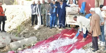 محافظ الدقهلية يشهد إطلاق مليون وحدة زريعة سمكية في نهر النيل بالمنصورة