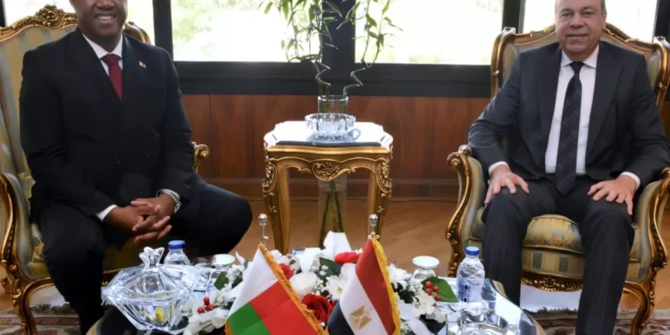 وزير الطيران المدني يلتقي نظيره المدغشقري لتعزيز التعاون الثنائي في مجال الطيران