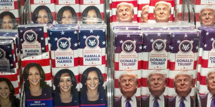 جوميز يطالب مجلس الزمالك بالاستغناء عن البولندى للتعاقد مع إيجاريا