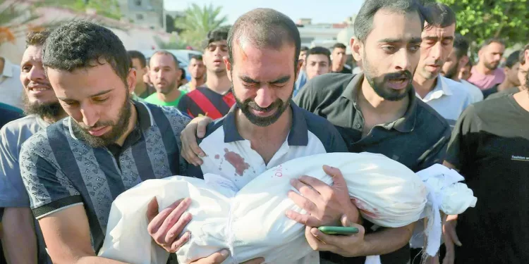 طلبات «جوميز» أوامر فى الزمالك.. والبرتغالى مستمر رغم الإغراءات