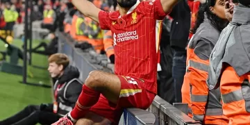 طلبات «جوميز» أوامر فى الزمالك.. والبرتغالى مستمر رغم الإغراءات