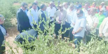 5 صفقات شتوية.. جوميز عينه على ايجاريا.. فرصة جديدة لسيف فاروق