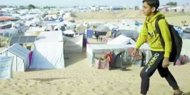 صاحب الأحلام العابرة: الأرض أرضى.. وفلسطين بلدى.. و النهاية المفتوحة لأترك السيناريو للمشاهد 1 - جريدة الجمهورية صلاح: العقلية والإصرار سر النجاح