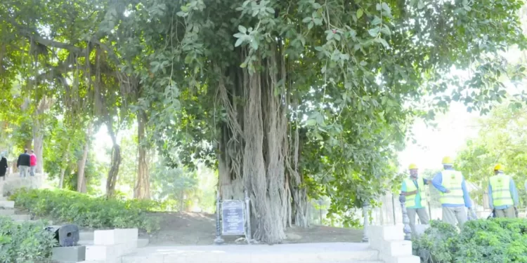 حديقة الأزبكية تزين قلب القاهرة الخديوية 1 - جريدة الجمهورية طلبات جوميز .. سرعة حسم صفقة إيجاريا.. و4 لاعبين فى الميركاتو