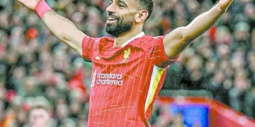 مواجهة مع «طيور النورس»