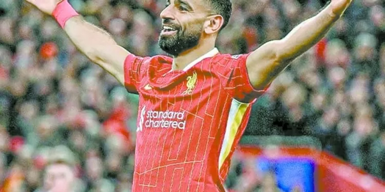 مواجهة مع «طيور النورس» 1 - جريدة الجمهورية مواجهة مع «طيور النورس»