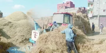شباب التدوير هزموا السحابة السوداء