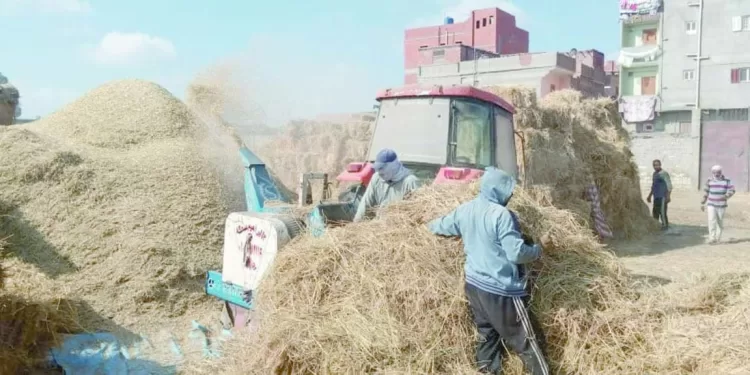 شباب التدوير هزموا السحابة السوداء