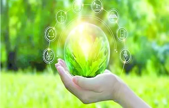 طاقة الشمس والرياح: تعاون مصرى  ألمانى فى مشروعات التحول الأخضر