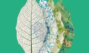 النيكوتين ليس السبب الرئيسي للأمراض المرتبطة بالتدخين