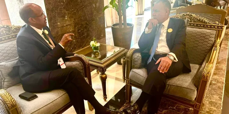 مصر وجيبوتي تتعاونان في مجالات التجارة والاستثمار 1 - جريدة الجمهورية مصر وجيبوتي تتعاونان في مجالات التجارة والاستثمار