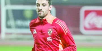 حقيقة رحيل سليم