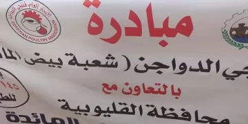 145 جنيهًا للكرتونة.. مبادرة لتخفيض أسعار البيض بالقليوبية