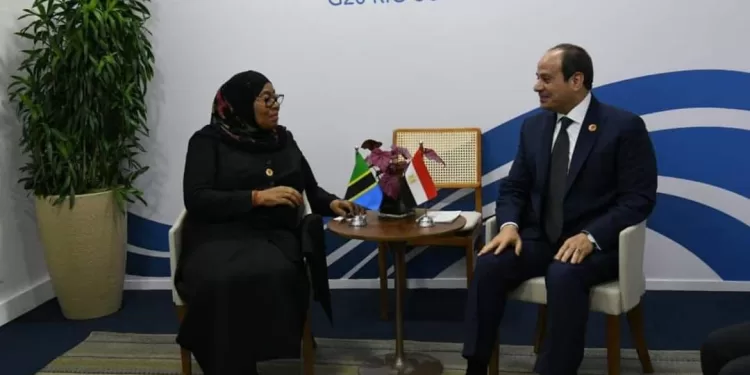 على هامش قمة العشرين.. السيسي يلتقي الرئيسة التنزانية سامية حسن 1 - جريدة الجمهورية على هامش قمة العشرين.. السيسي يلتقي الرئيسة التنزانية سامية حسن