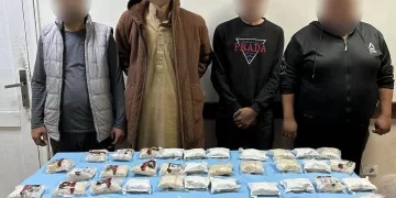 ضربة موجعة لتجار المخدرات: إحباط محاولة تهريب «كبتاجون» بمليار جنيه