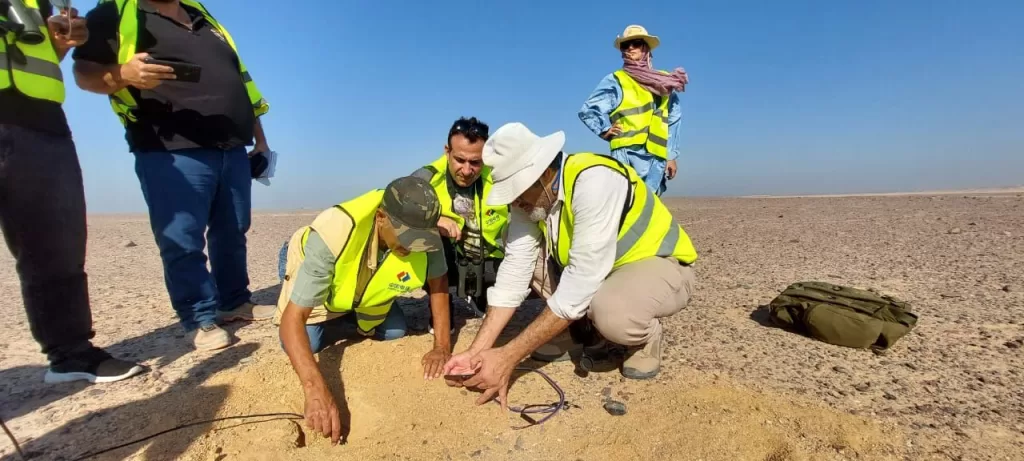 اختيار النوبي ضمن قائمة المؤثرين العالميين في حماية المناخ والحياة البرية بـ COP29 27 | جريدة الجمهورية