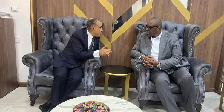 وزير الخارجية يؤكد حرص الحكومة المصرية على تعزيز التكامل الاقتصادي مع الدول الإفريقية