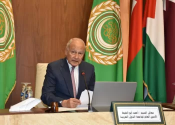 أبو الغيط يرحب باتفاق وقف إطلاق النار في لبنان