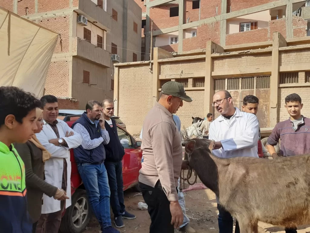 محافظ الدقهلية يتابع أعمال القافلة البيطرية المجانية لـ 500 مربي للثروة الحيوانية بقرية أويش الحجر 4 | جريدة الجمهورية