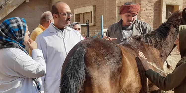 محافظ الدقهلية يتابع أعمال القافلة البيطرية المجانية لـ 500 مربي للثروة الحيوانية بقرية أويش الحجر 1 - جريدة الجمهورية محافظ الدقهلية يتابع أعمال القافلة البيطرية المجانية لـ 500 مربي للثروة الحيوانية بقرية أويش الحجر