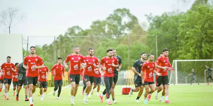 استقبال رسمى للأهلى فى جنوب إفريقيا: تجهيز«وسام» من أجل «انتركونتينتال»