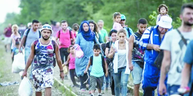 الكرة المصرية تنافس على 4 جوائز