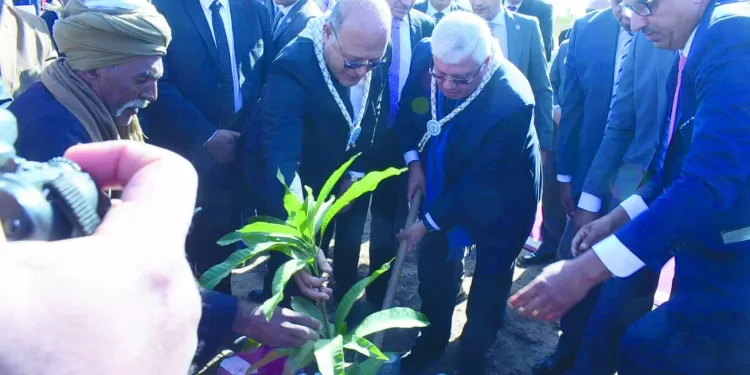 رضا سليم خارج الأهلى