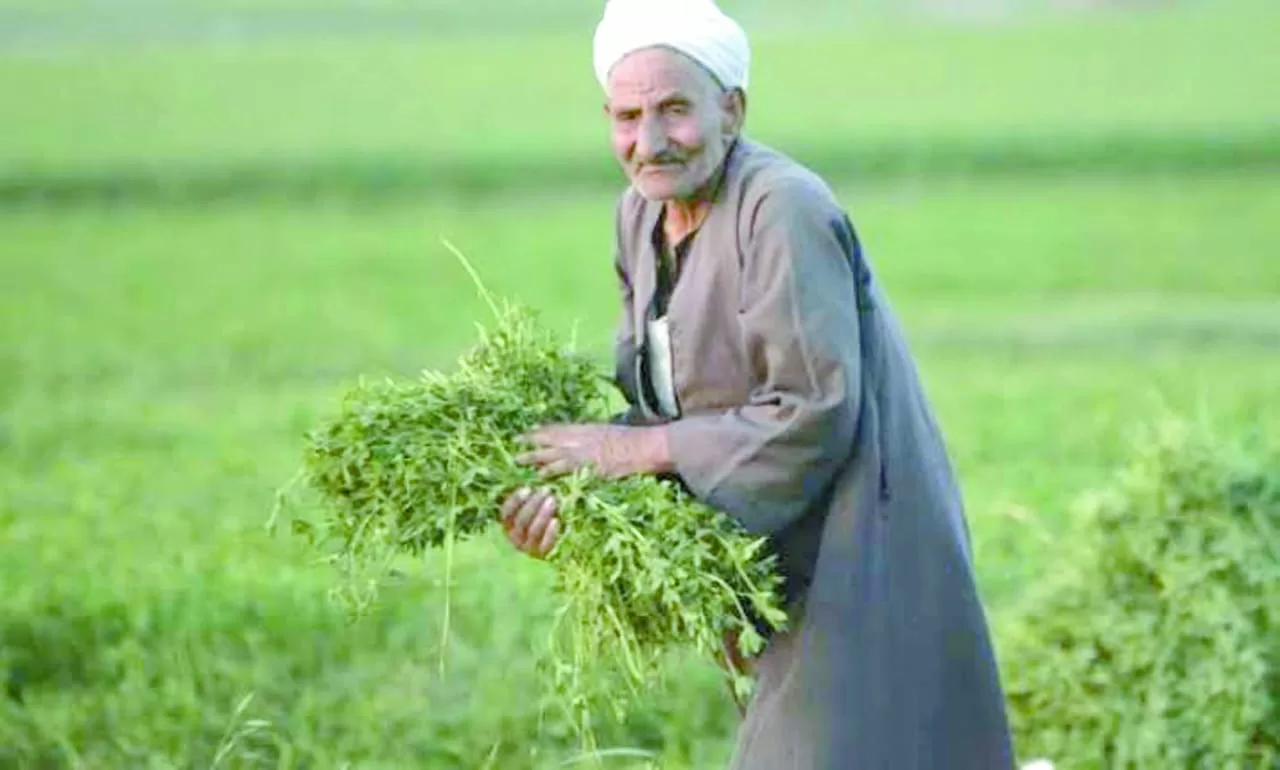 عام الإنجازات وحصاد الجــــــــــــهود والاســـتثمارات 6 | جريدة الجمهورية