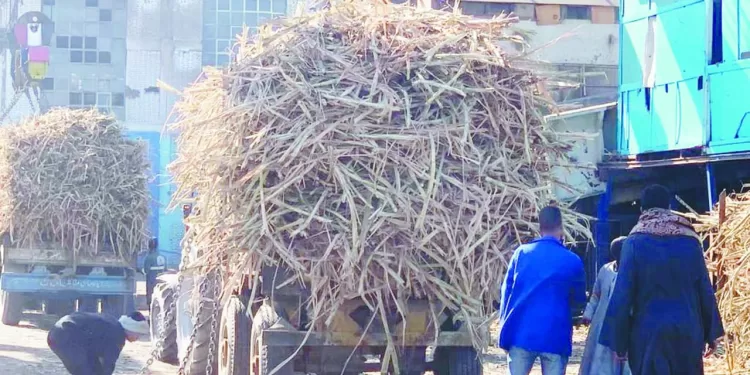 صلاح خيالى 12 رقمًا جديدًا لـ«الفرعون» بعد خماسية ويستهام