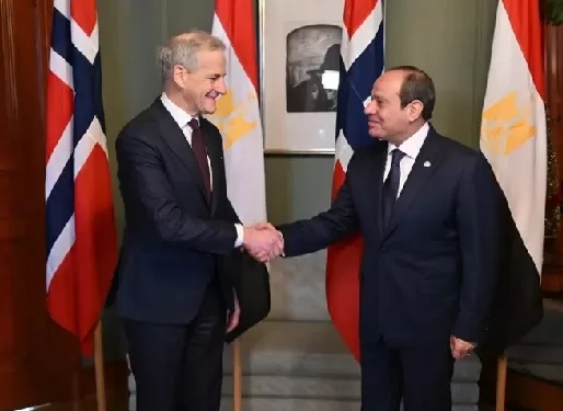 مصر والنرويج فى بيان مشترك: الحل السياسى هو مفتاح التعاون والسلام فى الشرق الأوسط