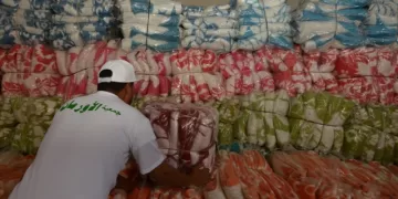 «ستر ودفا وإطعام».. حملة لدعم الأسر الأولى بالرعاية بالدقهلية