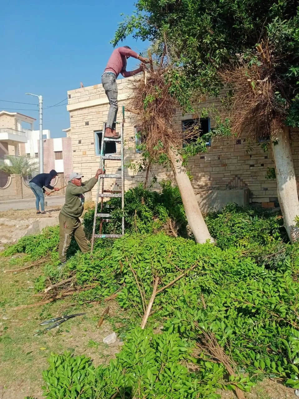 زيارة ميدانية لمرزوق لمتابعة المشروعات بجمصة والمنطقة الصناعية 8 - جريدة الجمهورية WhatsApp Image 2024 12 08 at 2.40.25 PM 1 - جريدة الجمهورية