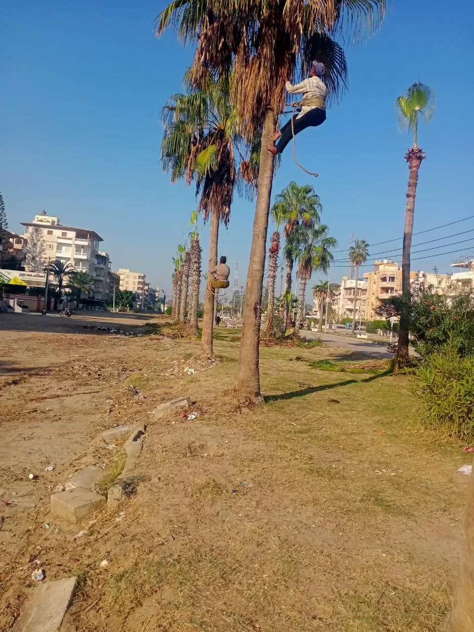 زيارة ميدانية لمرزوق لمتابعة المشروعات بجمصة والمنطقة الصناعية 10 - جريدة الجمهورية WhatsApp Image 2024 12 08 at 2.40.25 PM - جريدة الجمهورية