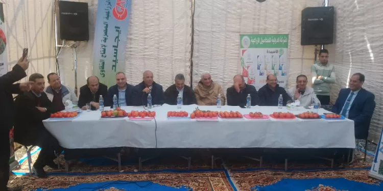 البحوث الزراعية تكشف عن 15 صنفًا جديدًا من الطماطم في يوم حقل ببني سويف