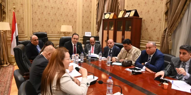 ملعب جديد لتعزيز الأنشطة الرياضية في مركز شباب النجيلة بمطروح