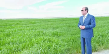 الاقتصاد المصرى فى 2025.. انتعاش..عبور..ونمو