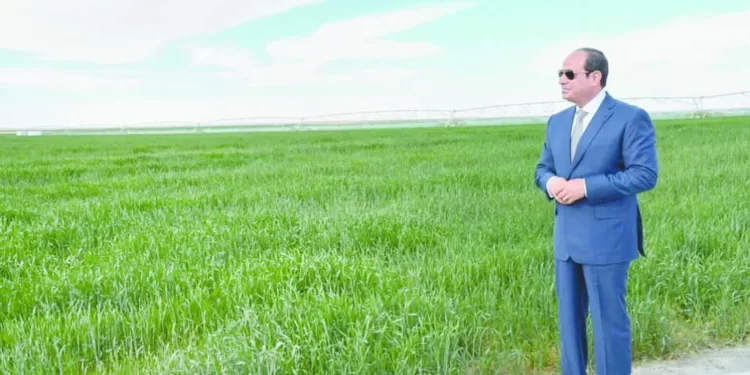 الاقتصاد المصرى فى 2025.. انتعاش..عبور..ونمو