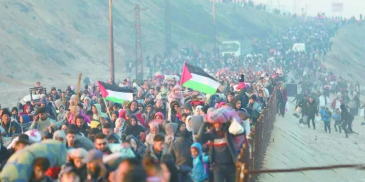 عودة شعب: 300 ألف نازح يعودون إلى أرضهم فى شمال غزة