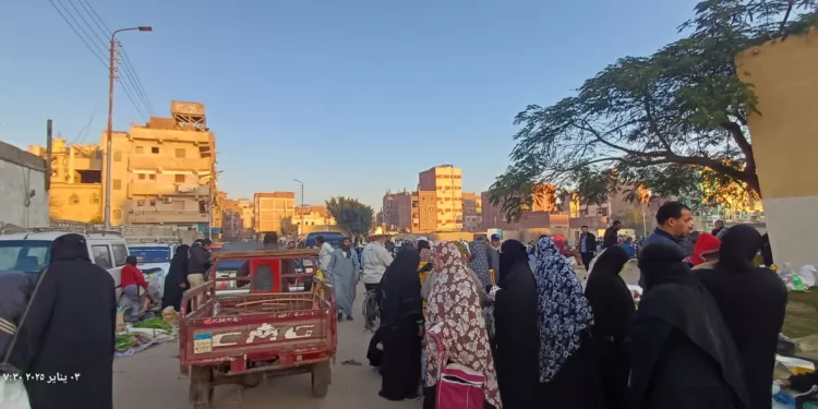 سوق شل بالإسماعيلية.. تحول مذهل من العشوائية إلى النموذجية 1 - جريدة الجمهورية سوق شل بالإسماعيلية.. تحول مذهل من العشوائية إلى النموذجية