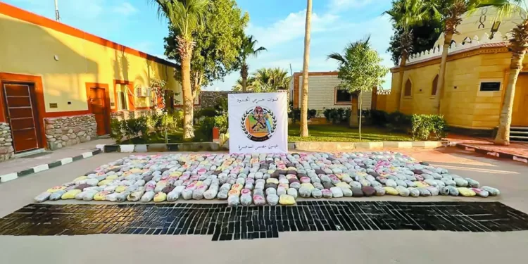 على ماهر.. الفوز على أنيمبا وبلاك بولز.. ضرورى